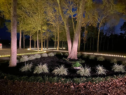 Christmas Lighting Around Driveway and Garden