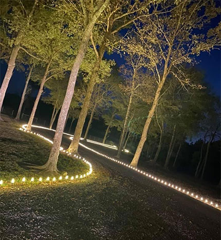 Christmas Lighting Around Driveway
