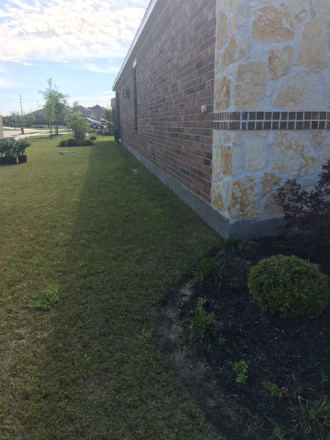 Landscaping Before